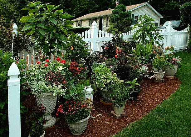 Steps to Creating Your Own Urban Garden | StepsTo